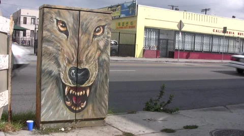 Wolf Face Stock Footage 1067835