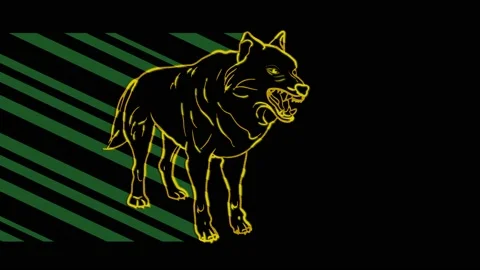 Wolf Stock Footage 153481635