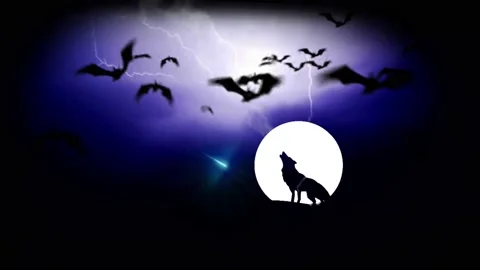 Wolf on full moon horror winter night with shooting star background Stock Footage 142300894