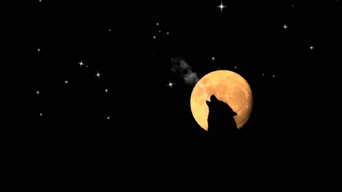 Wolf on full moon horror winter night with shooting star background. Stock Footage 142414866