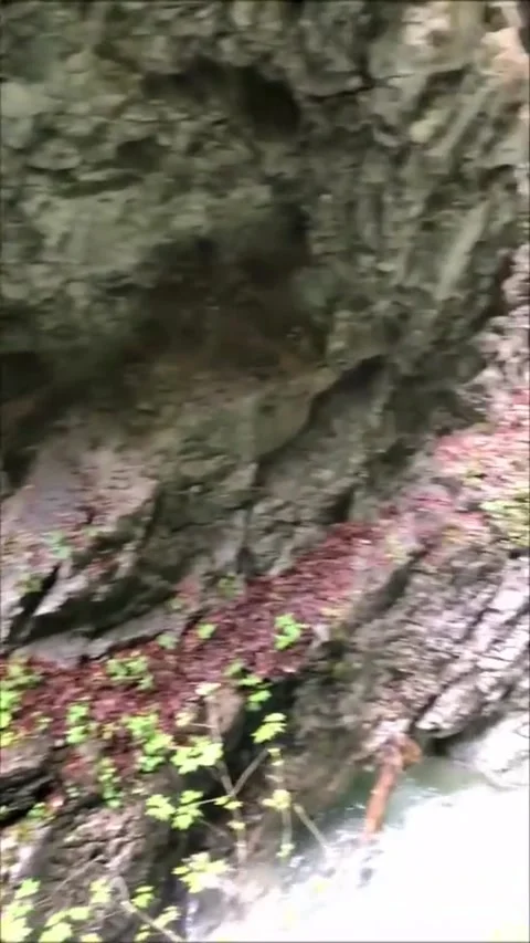 The Wolf Gorge Stock Footage 243208687