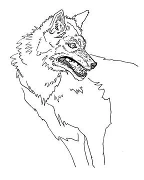 Wolf hand drawn contour lines sketch wolf's head angry dog face logo Stock Illustration