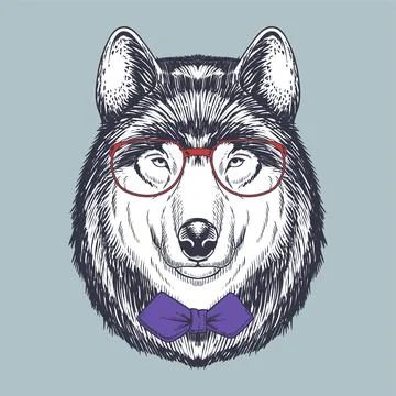 Wolf hand drawn wearing a red glasses and bow tie Stock Illustration