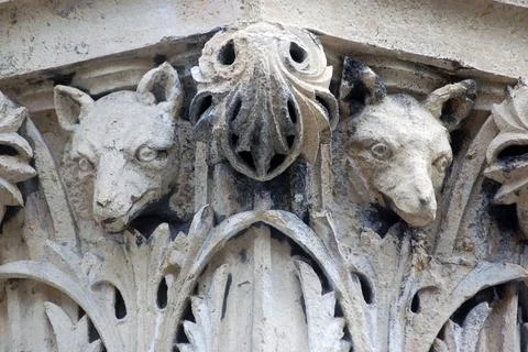 Wolf head capital Stock Photos