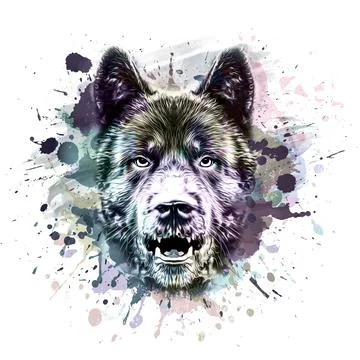 Wolf head with creative abstract element on colorful background Stock Illustration
