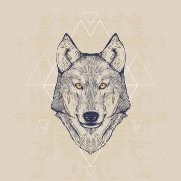 Wolf head Stock Illustration
