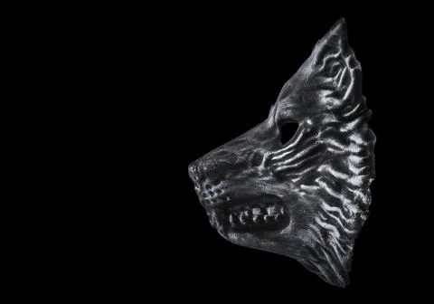 Wolf head isolated on black background with clipping path Stock Photos