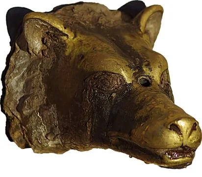 Wolf head Stock Photos