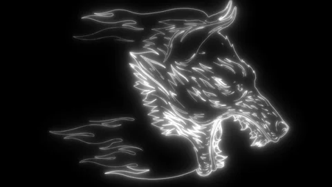 Wolf head in white line on black background Stock Footage 276232127