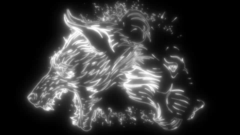 Wolf head in white line on black background Stock Footage 276276873