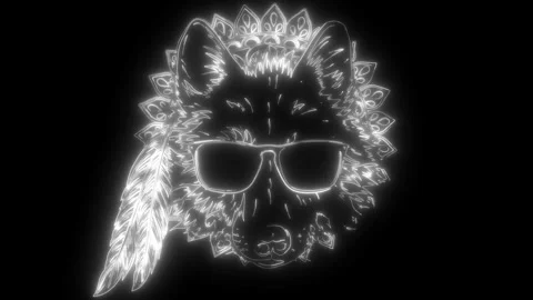 Wolf head in white line on black background Stock Footage 276278061