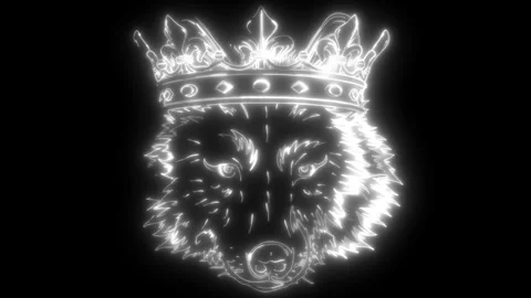 Wolf head in white line on black background Stock Footage 276314175