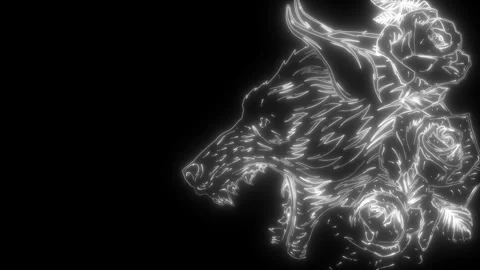 Wolf head in white line on black background Stock Footage 276316991