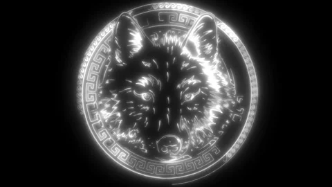 Wolf head in white line on black background Stock Footage 276362119