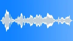 Wolf howl 03Sound Effect