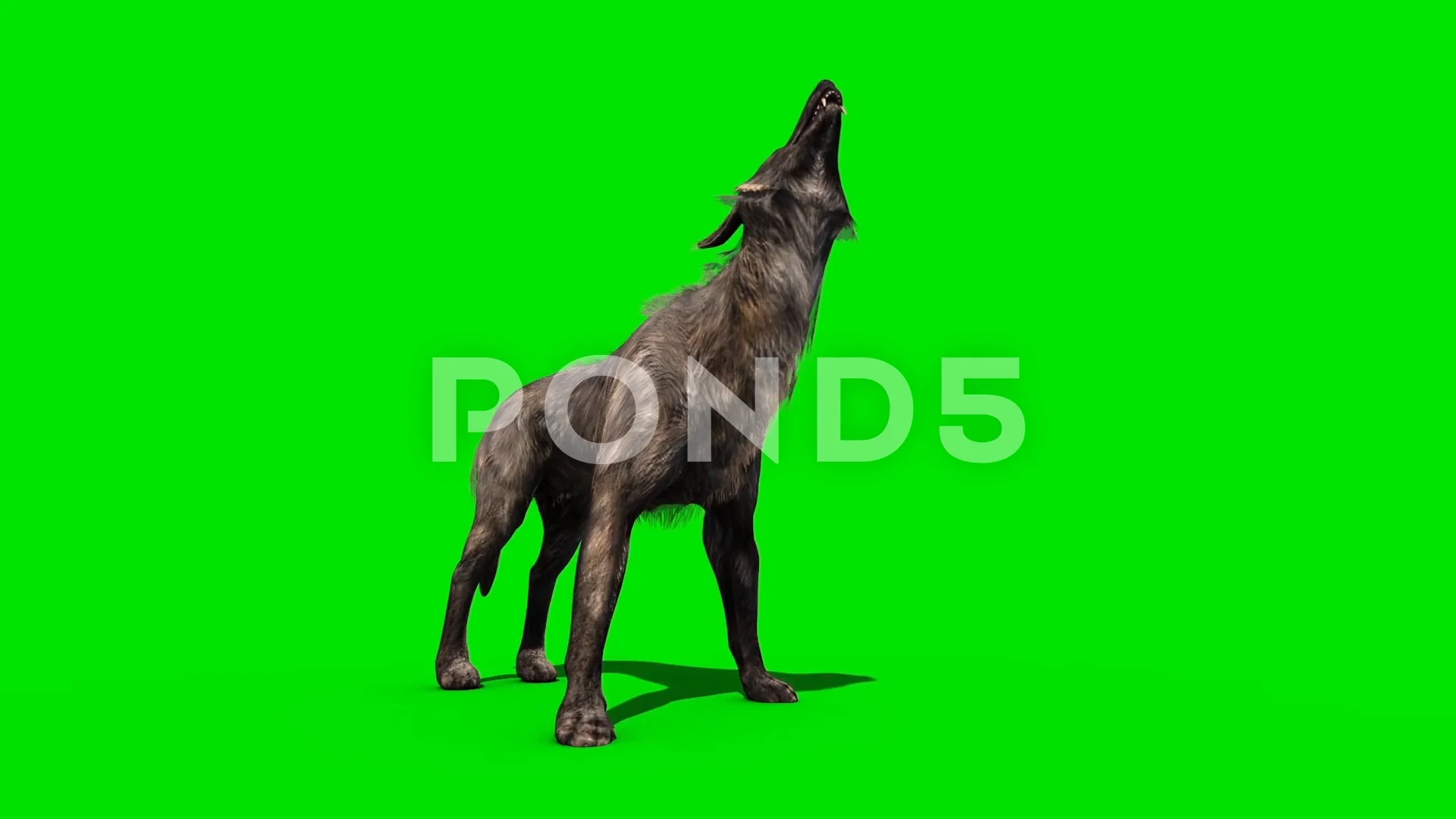 Featured image of post The Best 15 Anime Wolf Green Screen