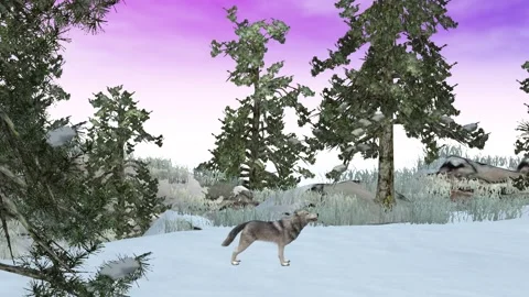 Wolf Howling against winter sky in woods Stock Footage 163188549
