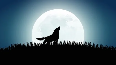 Animated Wolf Howling Stock Video Footage | Royalty Free Animated Wolf  Howling Videos | Pond5