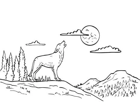 Wolf Howling at Moon Line Drawing Black and White Drawing sketch style ill... Stock Photos