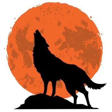 Wolf Howling at the Moon in the Midnight Vector Stock Illustration