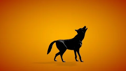 Wolf howling seamless loop, orange studio, Luma Matte attached  Stock Footage 128959647