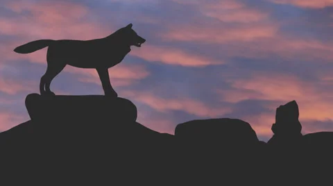 Wolf howling silhouette against pink clouds Stock Footage