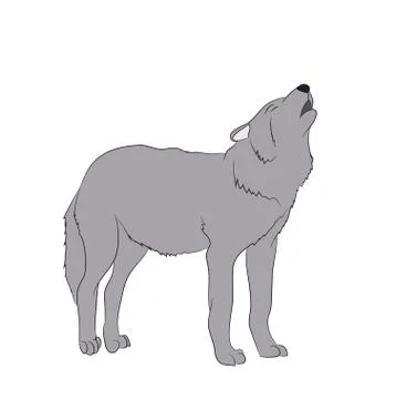 Wolf howls, image in color, vector Stock Illustration