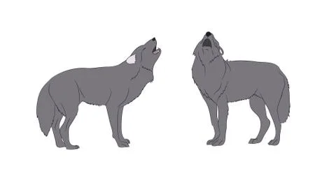 Wolf howls, image in color, vector Stock Illustration