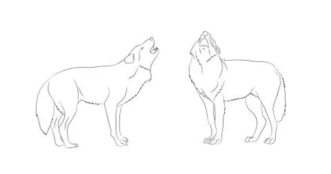 Wolf howls, image lines, vector Illustrazione stock