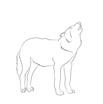 Wolf howls, image lines, vector Illustrazione stock