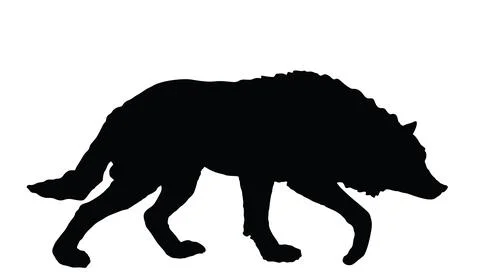 Wolf in hunt vector silhouette illustration isolated Ilustração Stock
