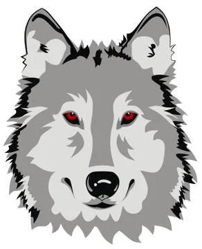 Wolf Stock Illustration