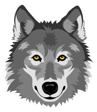 Wolf Stock Illustration