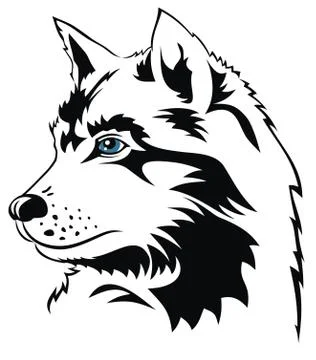 Wolf Stock Illustration