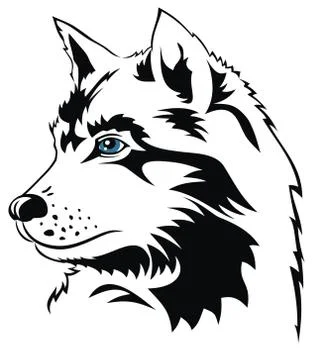 Wolf Stock Illustration