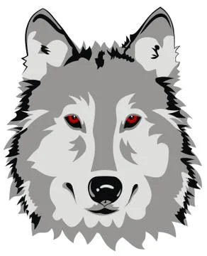 Wolf Stock Illustration