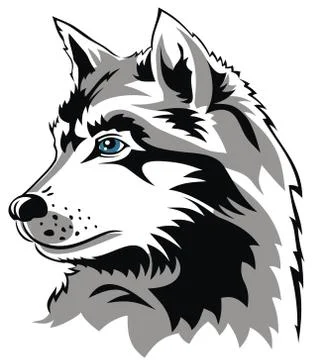 Wolf Stock Illustration