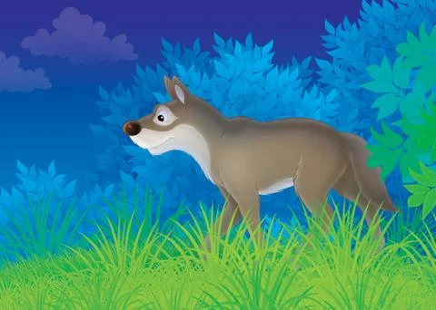 Wolf Stock Illustration