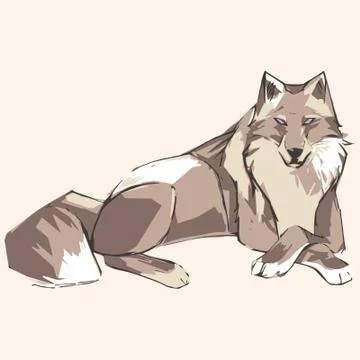 Wolf Stock Illustration