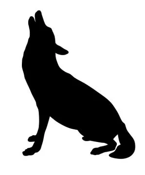 Wolf Stock Illustration