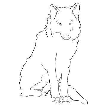 Wolf Stock Illustration