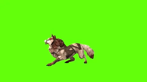 Wolf KT 2 attack green screen animation 3D rendering Stock Footage 285453661