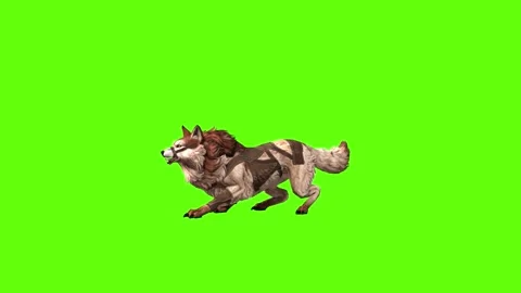 Wolf KT 2  back jump forward green screen animation 3D rendering Stock Footage 287662053