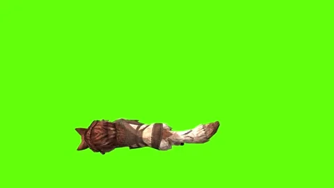 Wolf KT 2  down in  green screen animation 3D rendering Stock Footage 287662186