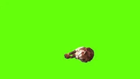 Wolf KT 2  down loop  green screen animation 3D rendering Stock Footage 287662199