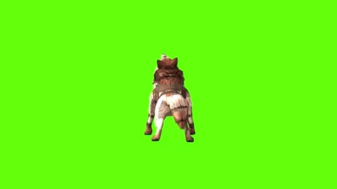 Wolf KT 2  down out green screen animation 3D rendering Stock Footage 287662370
