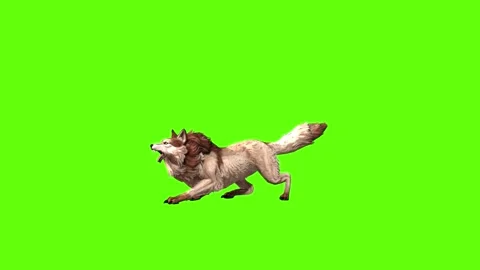 Wolf KT 2 idle roar green screen animation 3D rendering Stock Footage 296272409