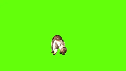 Wolf KT 2 jump attack green screen animation 3D rendering Stock Footage 287663163