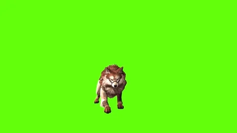 Wolf KT 2  jump firing green screen animation 3D rendering Stock Footage 287662984