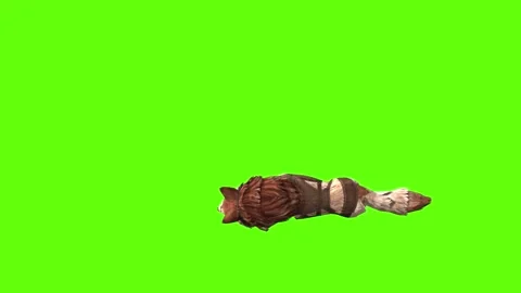 	Wolf KT 2 lay down green screen animation 3D rendering Stock Footage 287662044
